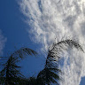 Meet your Posher, Jenely